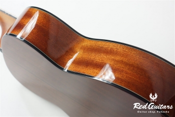 F-351I - Red Brown Sunburst